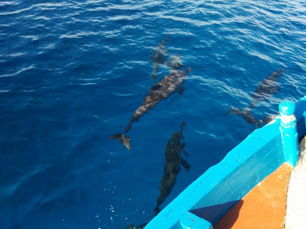 Vaali Maldives Island Escapes & Dive Hotel Felidhoo Exterior photo